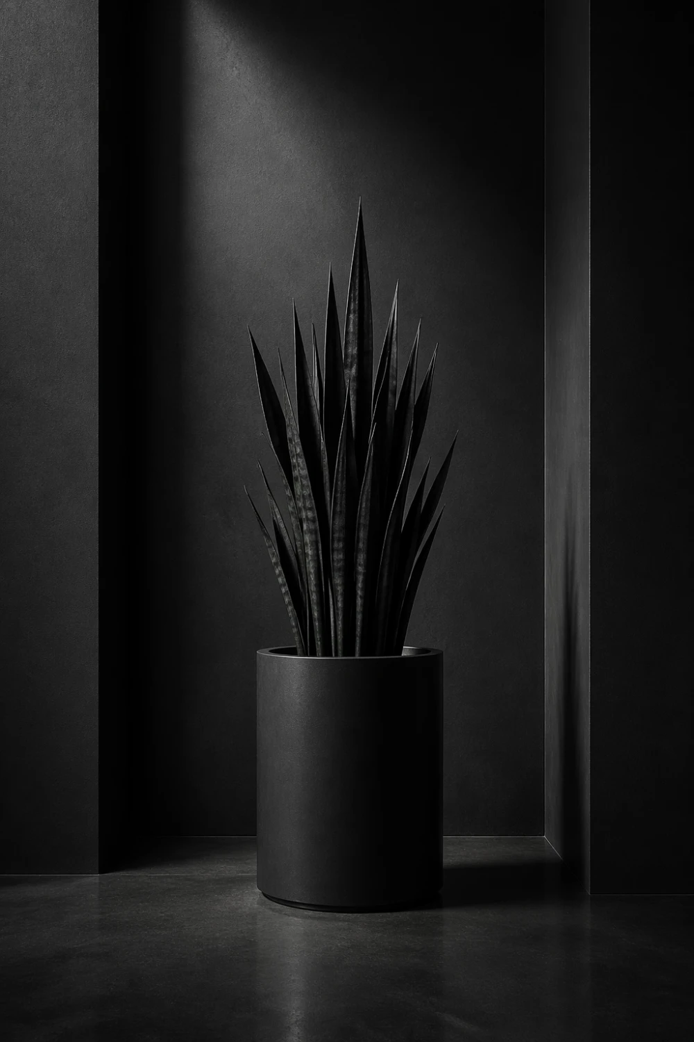 black monochrome snake plant modern decor sculptural planter minimalist interior styling