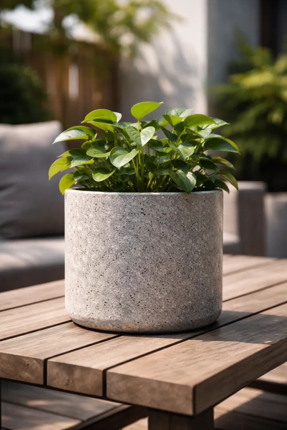 DIY concrete look planter idea with textured cement style paint turning cheap plant pot into modern industrial planter decor